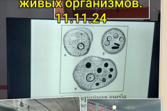 IMG-20250422-WA0003
